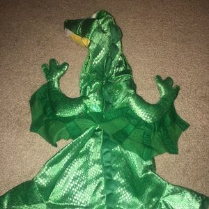 Small 12 Inch Dragon Dog Costume
